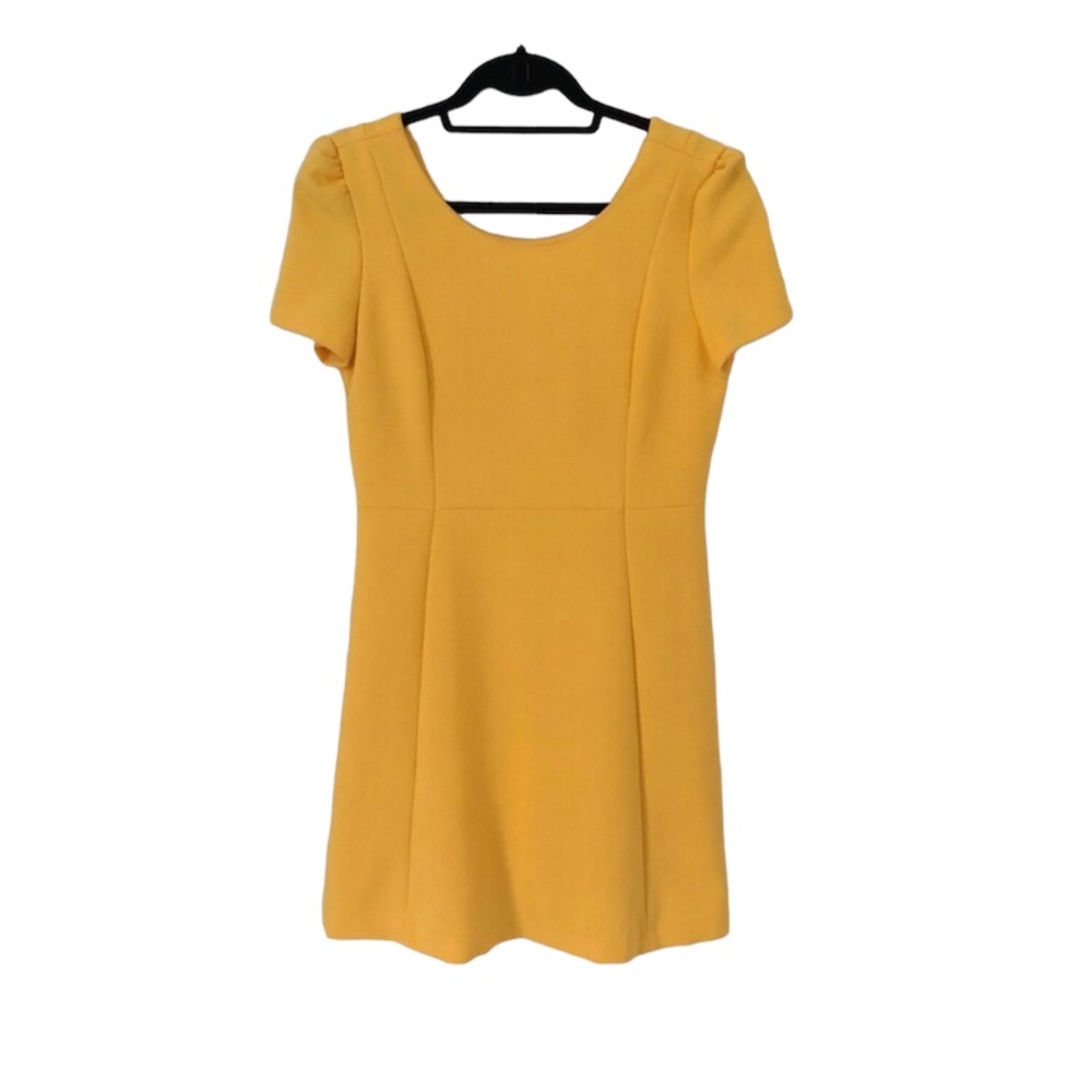 Zara Gold Cap Sleeve Mini Dress Size Small
